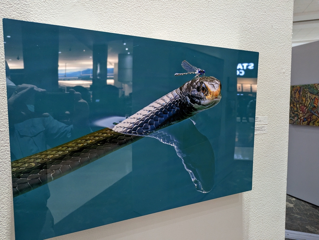 2023-04-24 Hitch Hiker by Gilliam, McGhee-Tyson airport, Knoxville TN.jpg