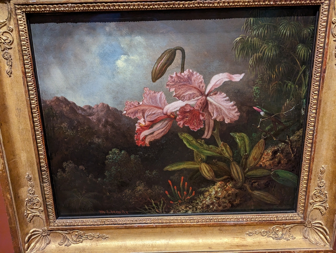 2023-05-08 166 Orchids in a Jungle (1870s); Martin Hohnson Heade; Philadelphia Museum of Art.jpg