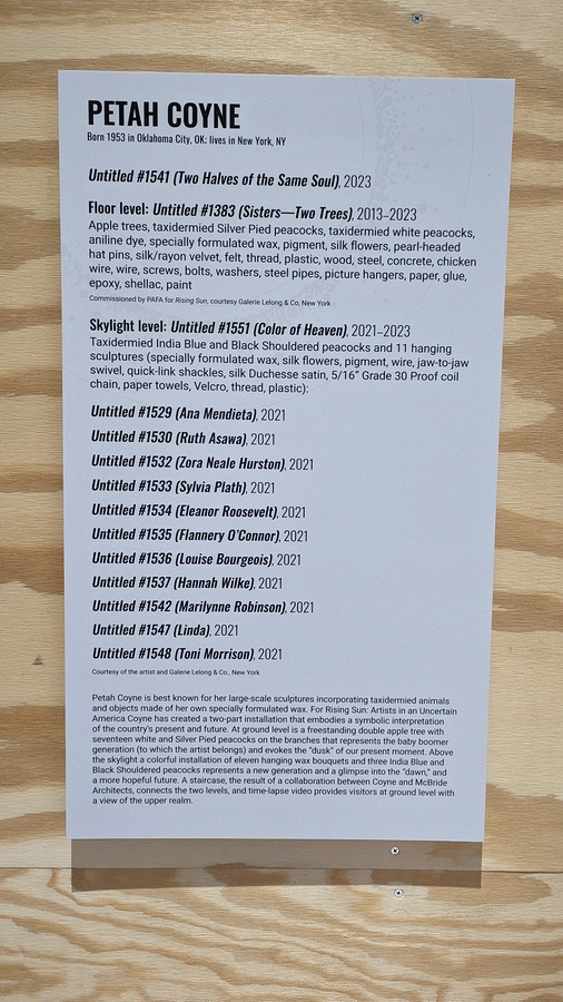 2023-05-09 358 Petah Coyne; Rising Sun (exhibition), PAFA, Philadelphia.jpg