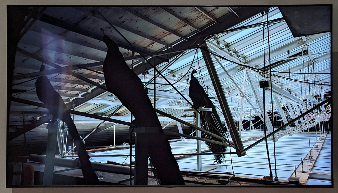 2023-05-09 360 Untitled #1551, Color of Heaven (2021-2023), Petah Coyne; PAFA, Philadelphia.jpg