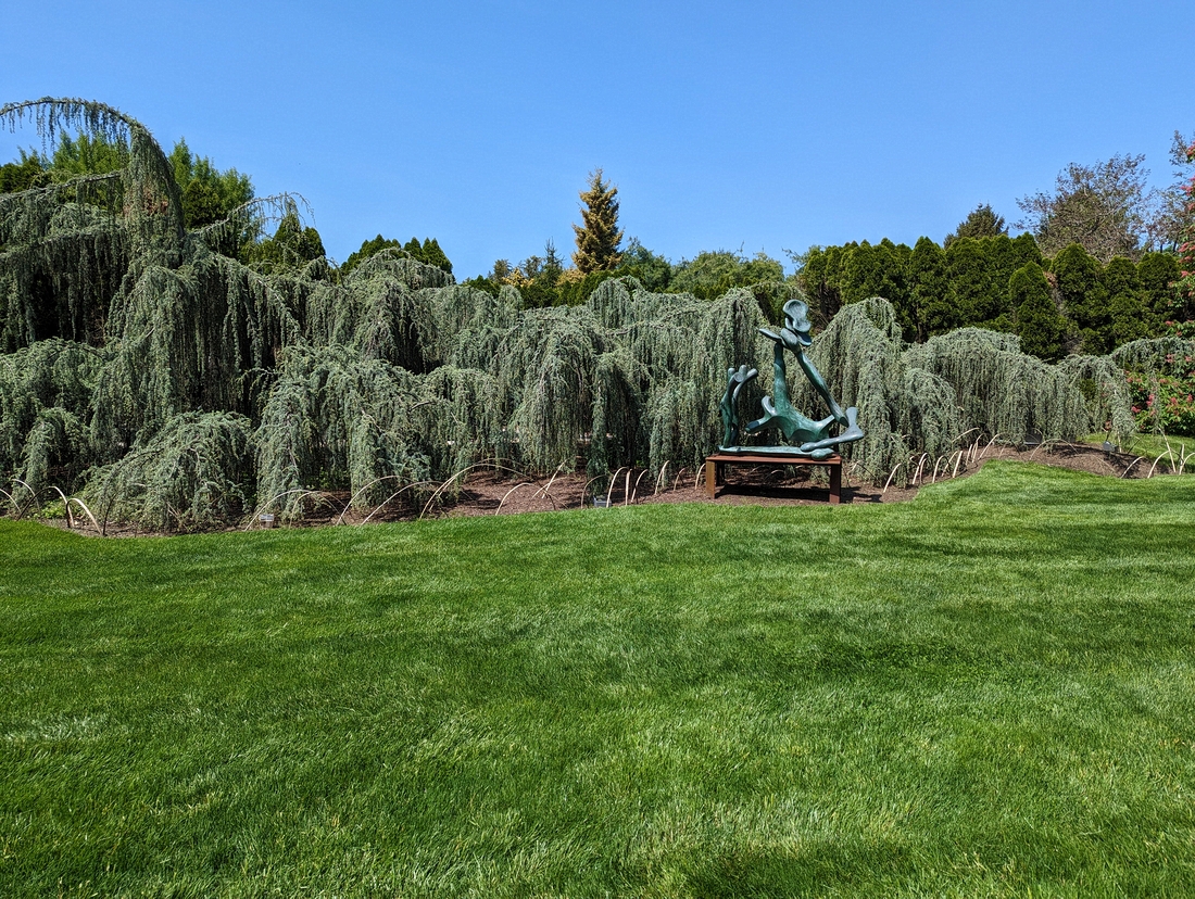 2023-05-10 125 Hawthorne Tree II (1990), Isaac Witkin; Grounds for Sculpture, Hamilton NJ.jpg