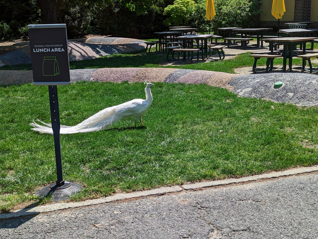 2023-05-10 174 Grounds for Sculpture, Hamilton NJ.jpg