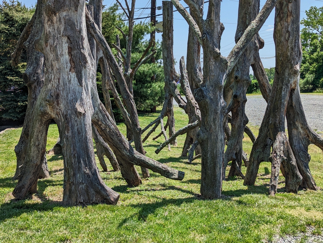 2023-05-10 227 Grounds for Sculpture, Hamilton NJ.jpg