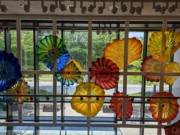 2023-05-11 s576 Persian Window (blown glass, 1999-2000), Dale Chihuly; Delaware Museum of Art.jpg
