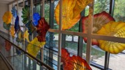 2023-05-11 s586 Persian Window (blown glass, 1999-2000), Dale Chihuly; Delaware Museum of Art.jpg