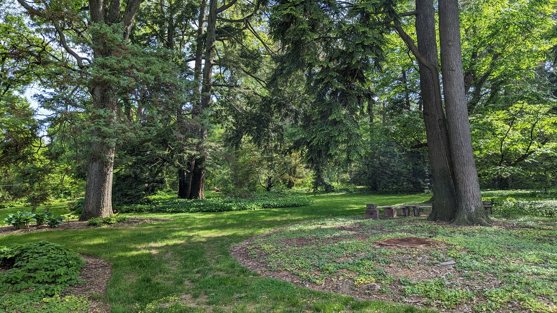2023-05-12 125 Barnes Arboretum, Merion PA.jpg