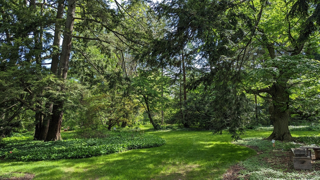 2023-05-12 128 Barnes Arboretum, Merion PA.jpg
