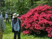 2023-05-12 165 Barnes Arboretum, Merion PA.jpg