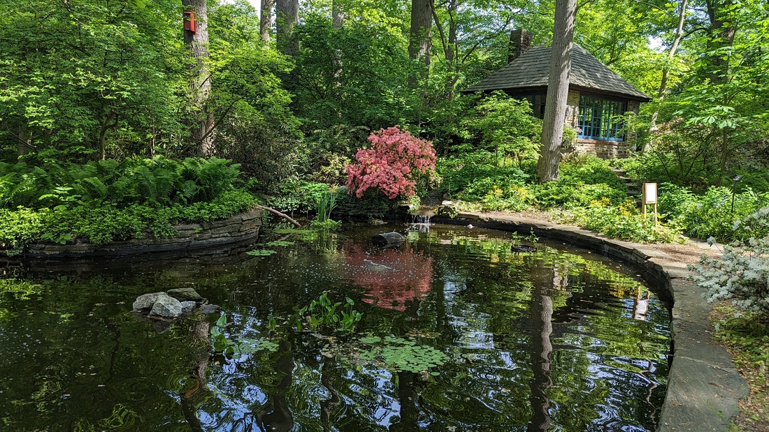 2023-05-12 182 Pond; Barnes Arboretum, Merion PA.jpg