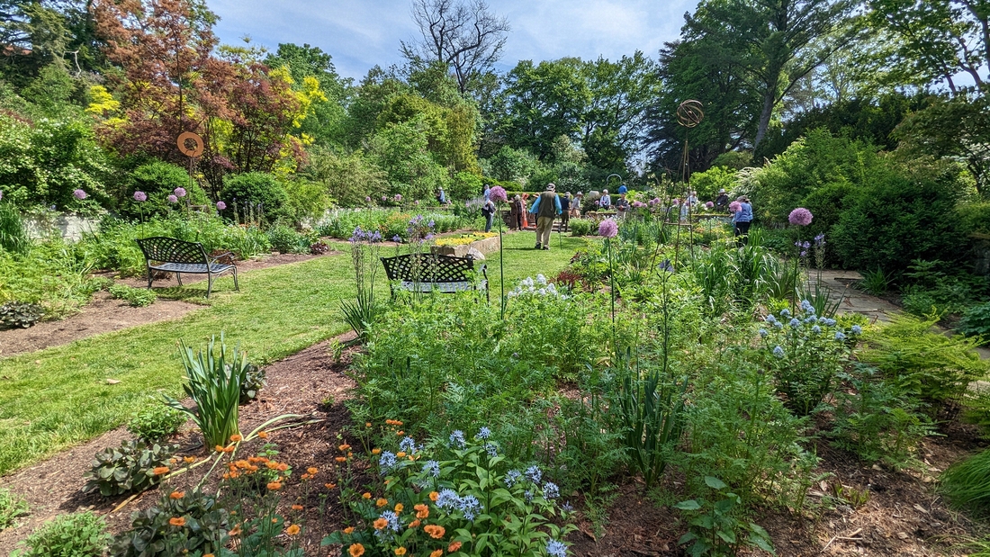 2023-05-12 187. Perennials, Herbaceous Teaching Garden; Barnes Arboretum, Merion PA.jpg