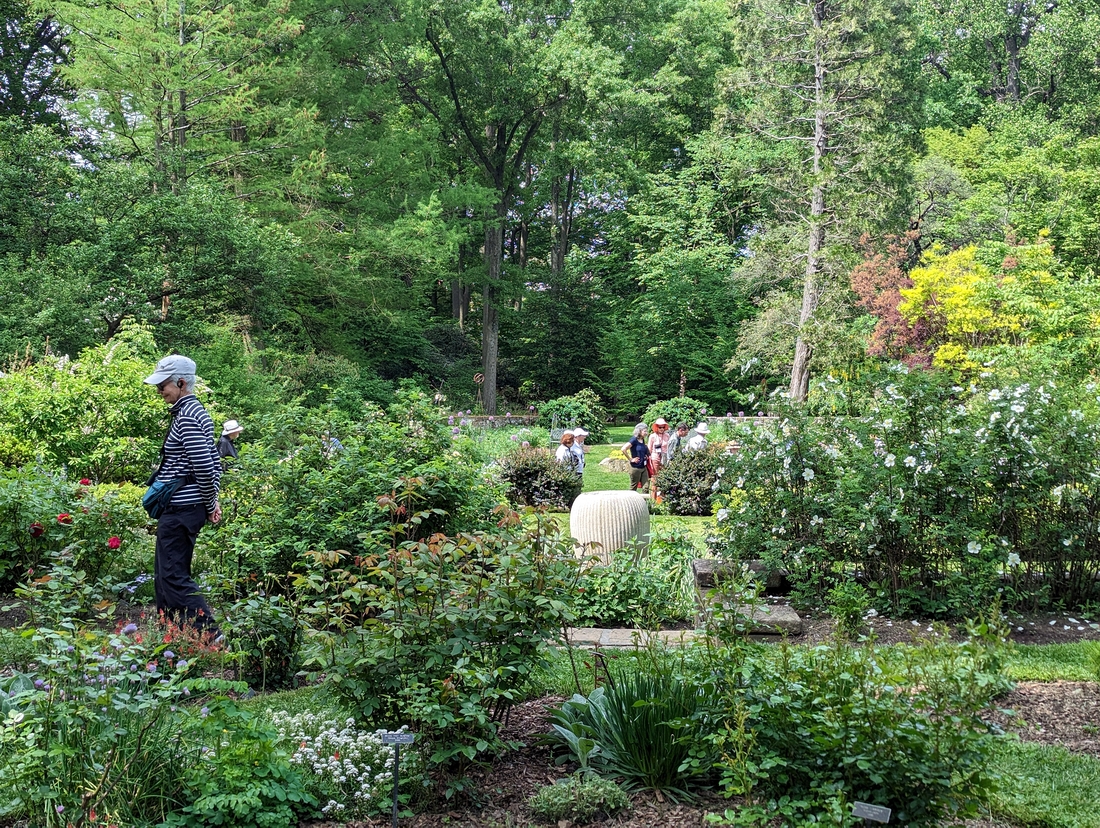 2023-05-12 196 Rose garden, looking down toward perennials, Herbaceous Teaching Garden; Barnes Arboretum, Merion PA.jpg