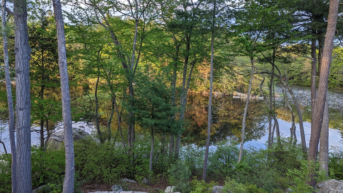 2023-05-12 302 Home - our pond view.jpg