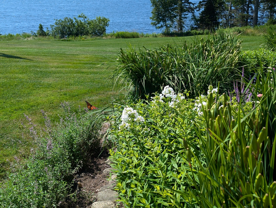 2024-07-22 019 Jessica & John Bowlin; Garden Day, Islesboro ME.jpg