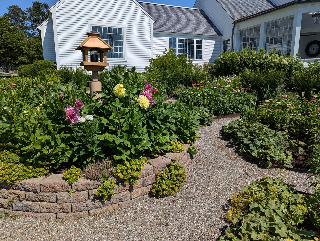 2024-07-22 021 Jessica & John Bowlin; Garden Day, Islesboro ME.jpg