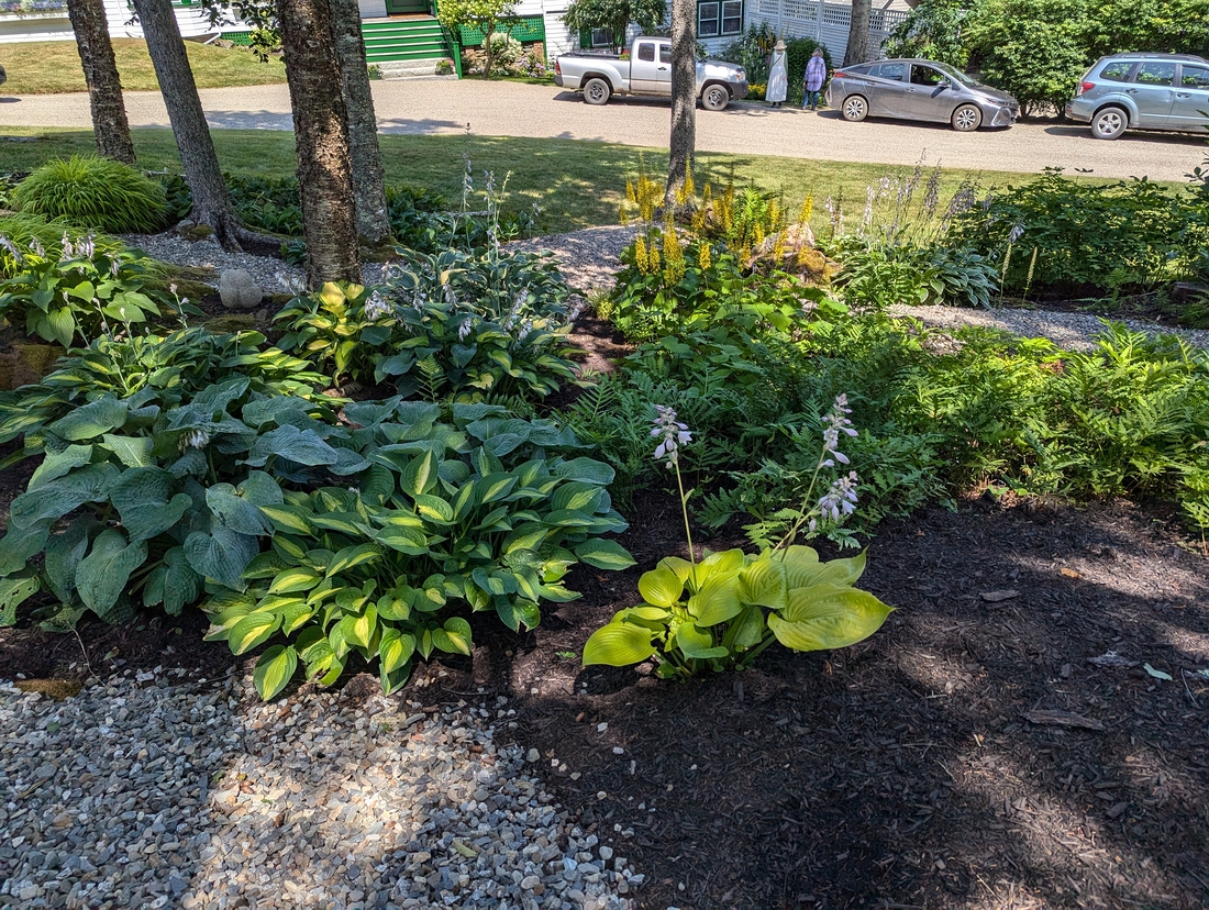 2024-07-22 044 Philip Ladd & Elaine Fiske; Garden Day, Islesboro ME.jpg