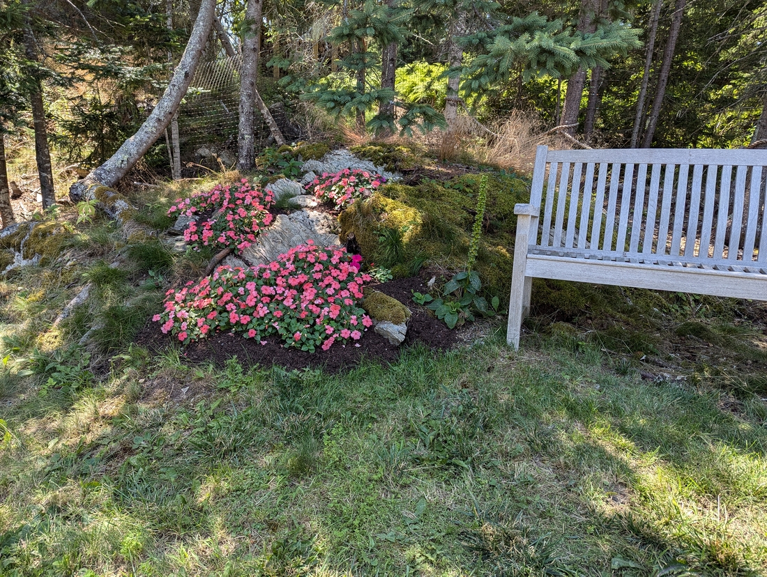2024-07-22 107 Harry & Carter Brigham; Garden Day, Islesboro ME.jpg
