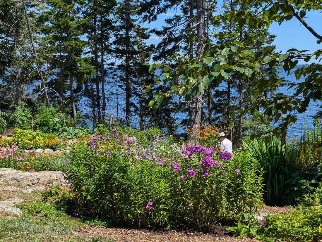 2024-07-22 114 Harry & Carter Brigham; Garden Day, Islesboro ME.jpg