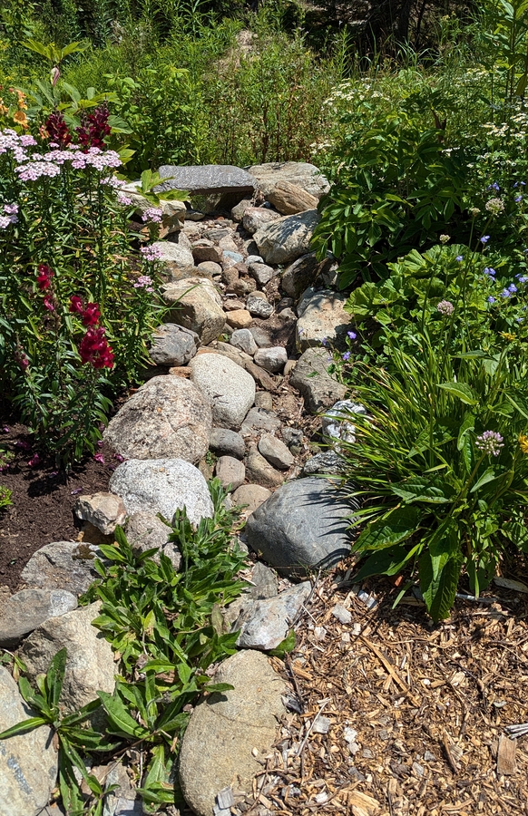 2024-07-22 115 Harry & Carter Brigham; Garden Day, Islesboro ME.jpg