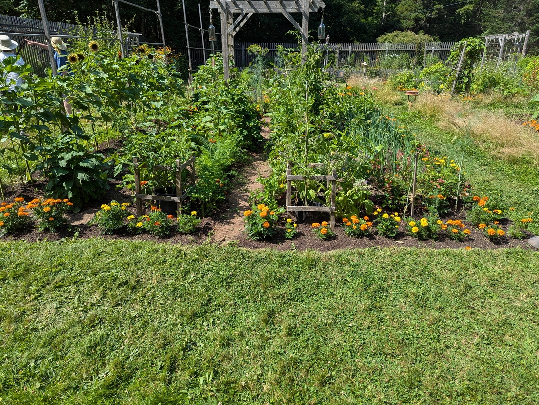 2024-07-22 201 Sharon & Butch McCorison; Garden Day, Islesboro ME.jpg