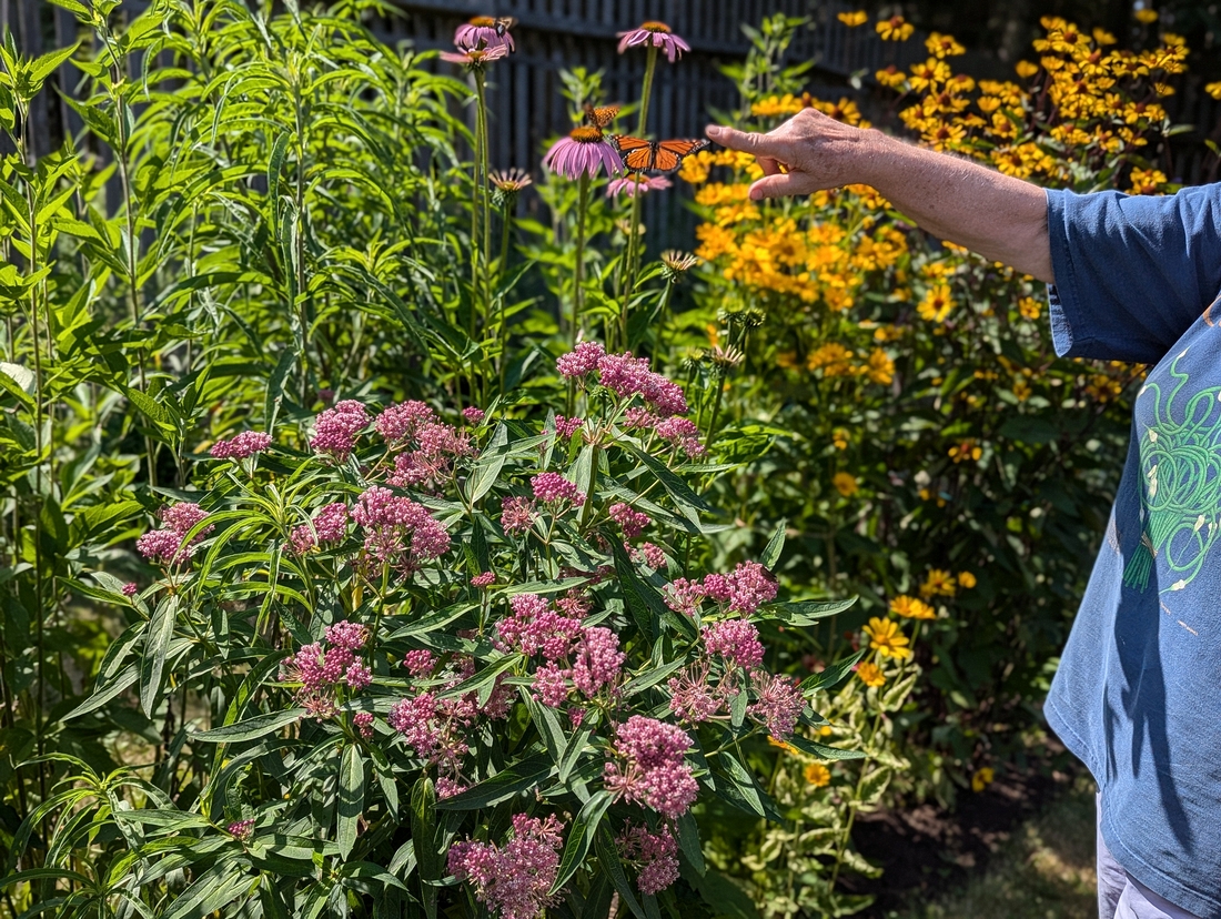 2024-07-22 206 Sharon & Butch McCorison; Garden Day, Islesboro ME.jpg
