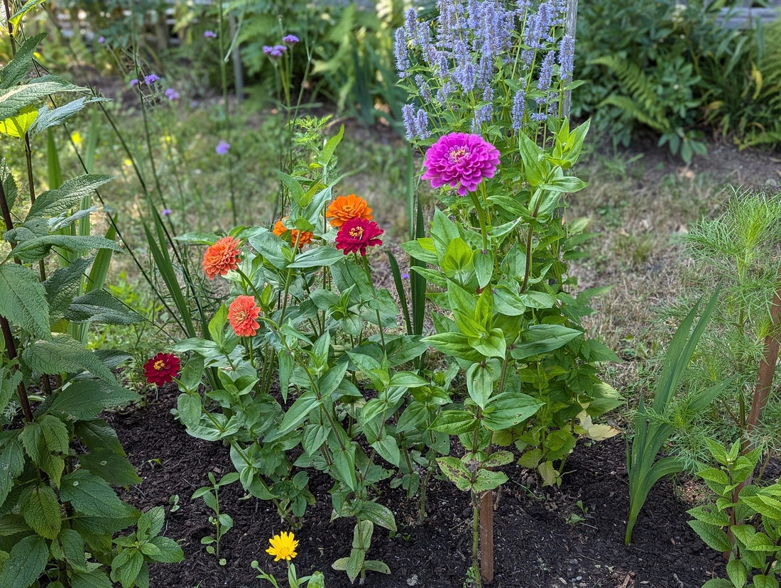 2024-07-22 222 Sharon & Butch McCorison; Garden Day, Islesboro ME.jpg