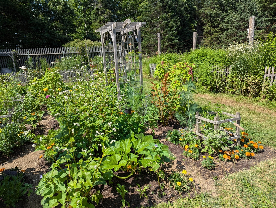 2024-07-22 240 Sharon & Butch McCorison; Garden Day, Islesboro ME.jpg
