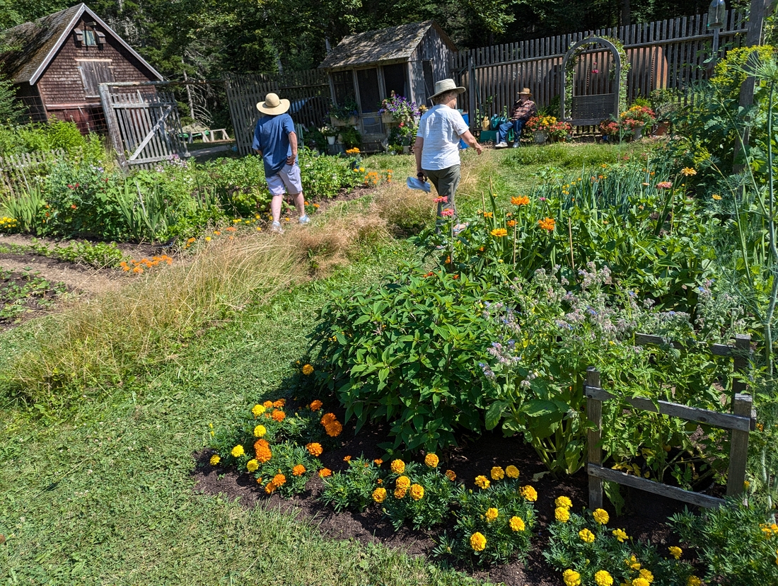 2024-07-22 244 Sharon, Karen & Butch; Sharon & Butch McCorison; Garden Day, Islesboro ME.jpg